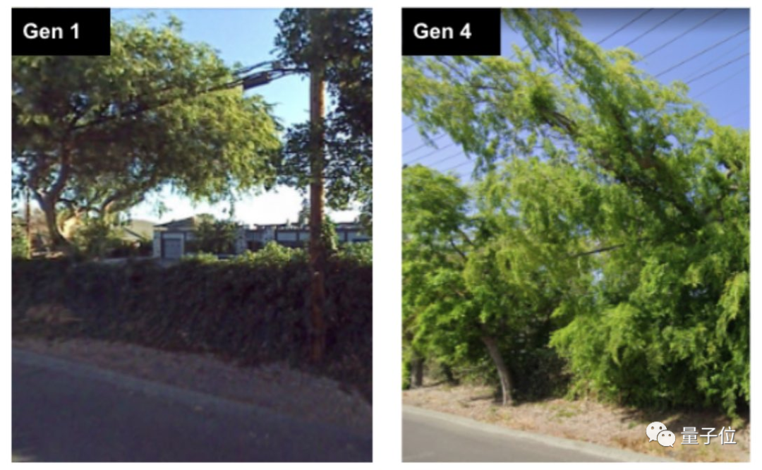 小哥凭“量子速读”绝技吸粉59万：看街景图0.1秒，就能锁定位置