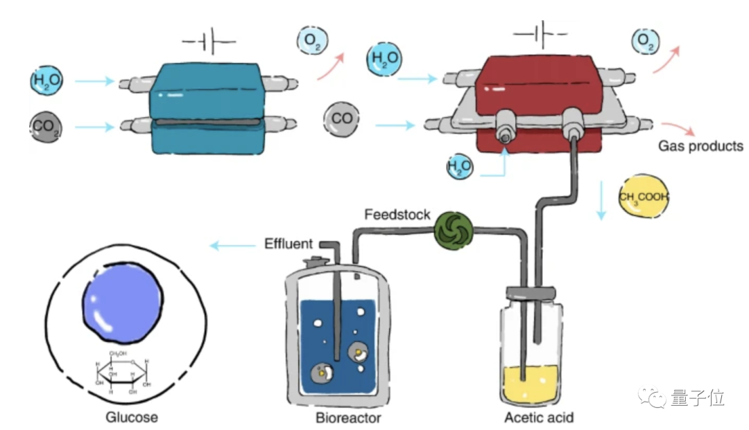 联想高层降薪74.5%，我国科学家实现二氧化碳合成葡萄糖和油脂