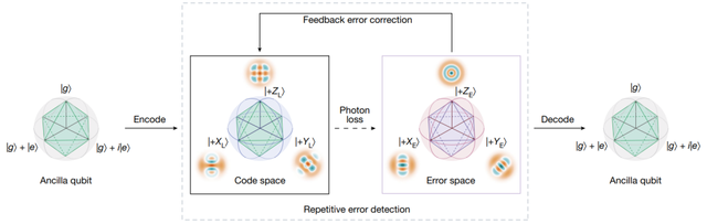 通用量子计算实用化又进一步，俞大鹏团队实现量子纠错领域重大进展，首次超越盈亏平衡点｜Nature