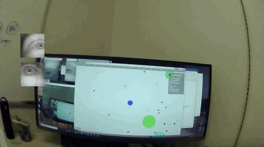AI学会了用“人眼”看世界，甚至连人类瞳孔的细微缩放都能模拟