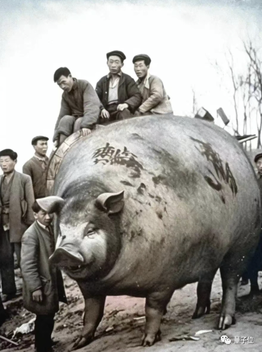 那年马斯克在苏联