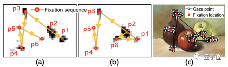 AI学会了用“人眼”看世界，甚至连人类瞳孔的细微缩放都能模拟