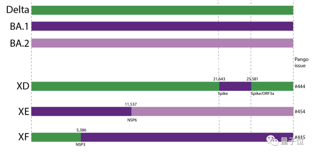 奥密克戎新毒株XE出现！传播速度快10%