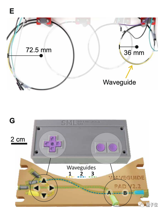 可溶于水的机器人见过吗？明胶和糖3D打印而成 | Science子刊封面
