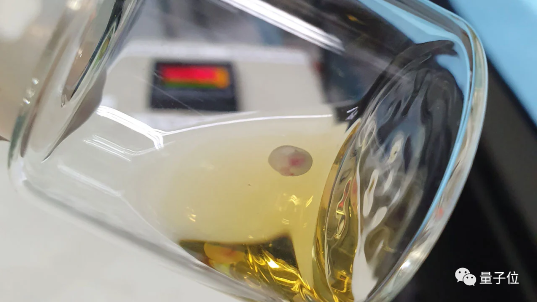 Science发布2021年度十大科学突破榜单：除了AlphaFold2，还有？