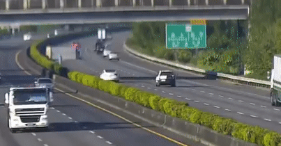 华为苏菁撕掉特斯拉的“皇帝新衣”，竟因此丢了工作