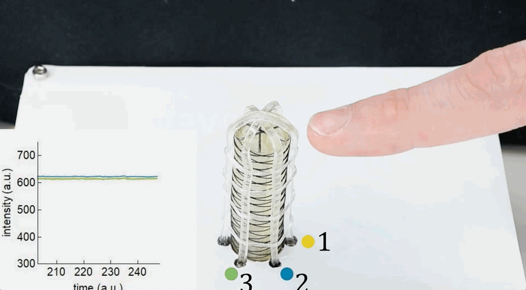 可溶于水的机器人见过吗？明胶和糖3D打印而成 | Science子刊封面