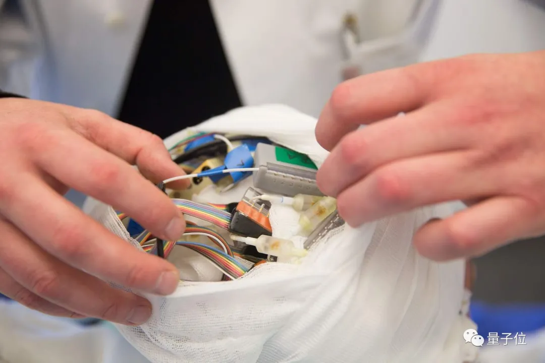 大脑如何做算术？加减法都有专用神经元，符号文字都能激活同一组