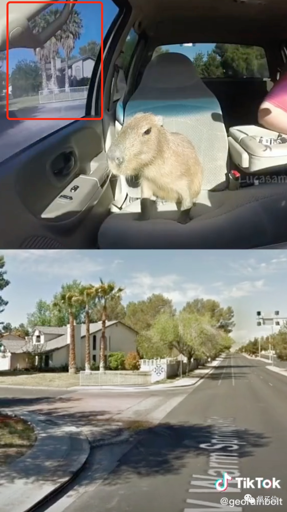 小哥凭“量子速读”绝技吸粉59万：看街景图0.1秒，就能锁定位置