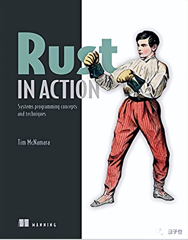 13年资深开发者分享一年学习Rust经历：从书目到代码练习一网打尽