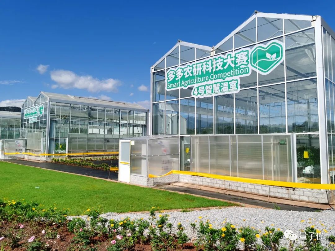 当985计算机教授开始去云南种菜