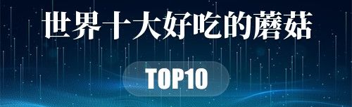 世界上最好吃的10种蘑菇