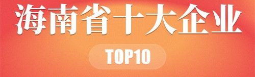 海南省十大企业
