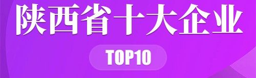 陕西省十大企业