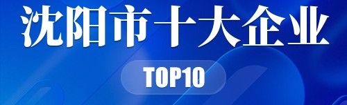 沈阳市十大企业
