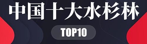 中国十大水杉林