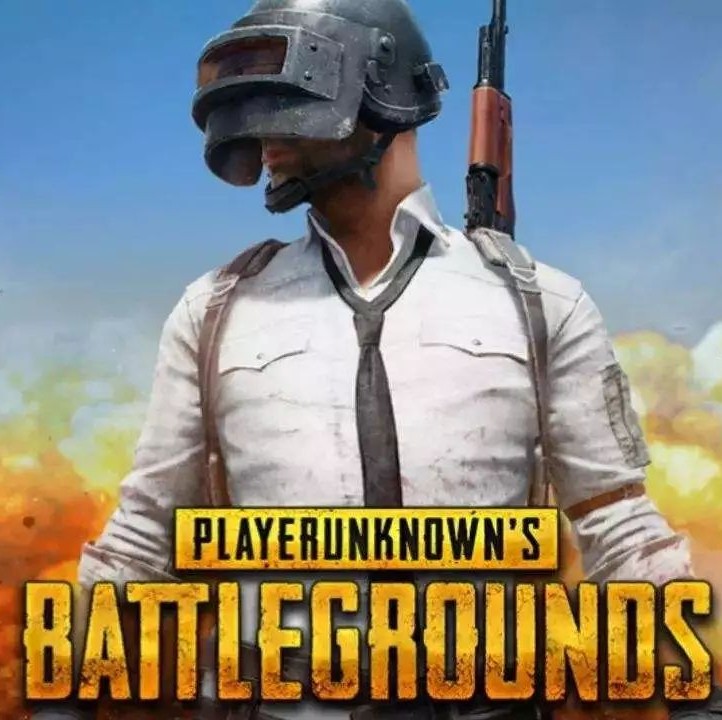 《PUBG》国内定名《和平精英》 海外仍遭到印度、尼泊尔、伊拉克封禁