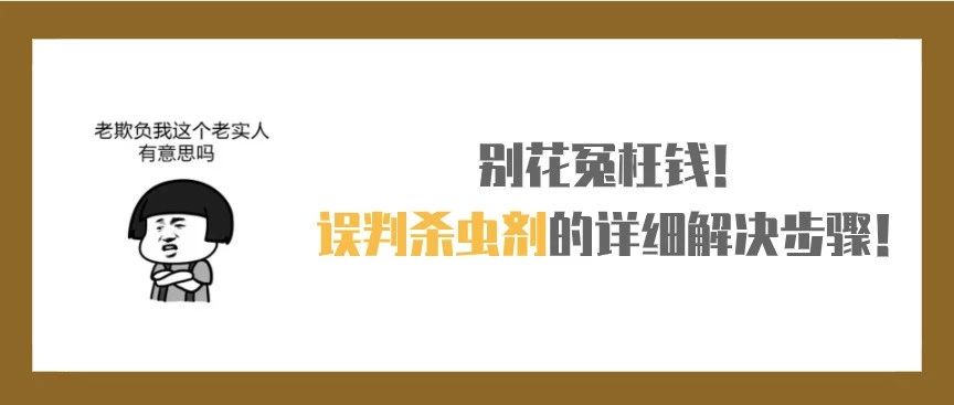 别花冤枉钱！被误判杀虫剂的详细解决步骤都在这！