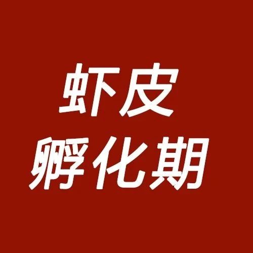 Shopee孵化期不好过？那是你没用对方法！