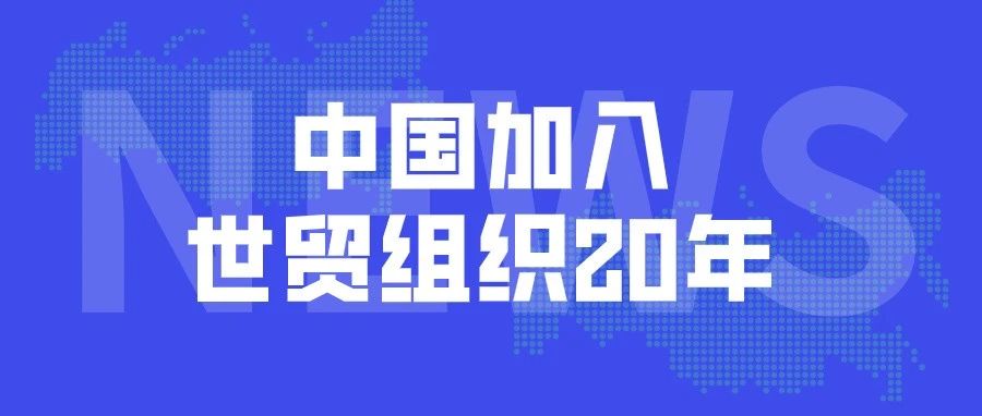 “入世”20年，世贸组织给中国答卷打出高分