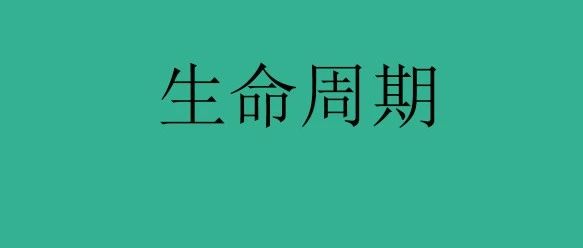 亚马逊：为什么这种爆款，生命周期只有一天时间