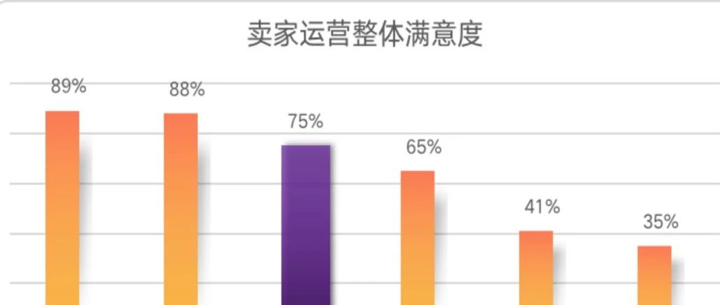 2021卖家调查报告