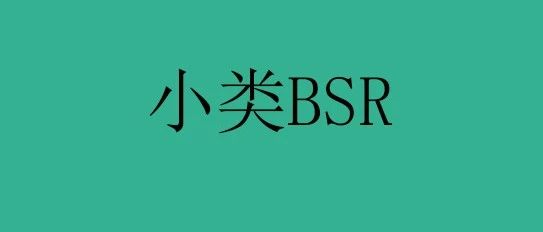 亚马逊：小爆款，小类BSR，大类1600名