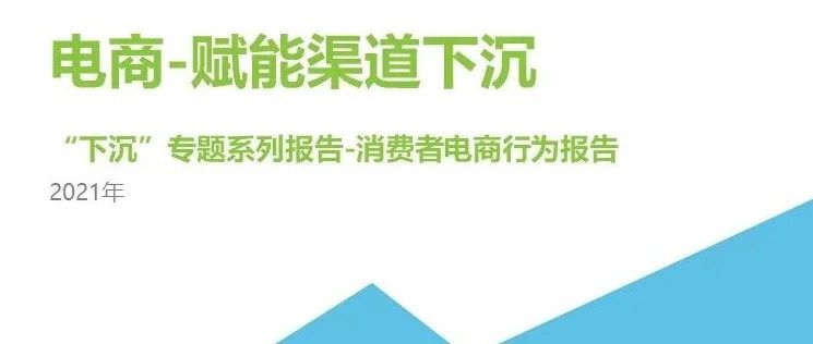 报告速递｜2021年“下沉”市场专题研究报告—电商篇