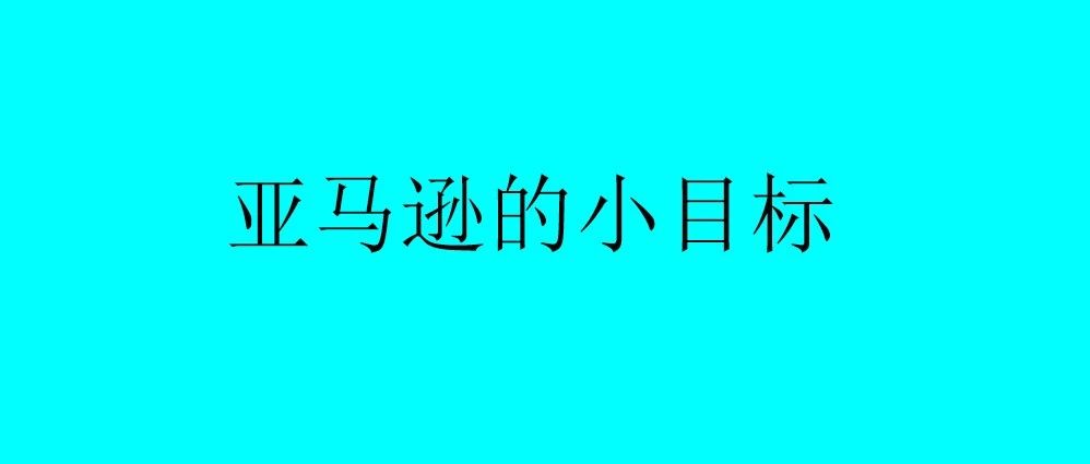 亚马逊下半年定一个小目标100万美金/月，怎么样？