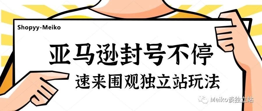 大环境趋势所向！一文读懂独立站玩法+平台商家转型避雷要点Get！