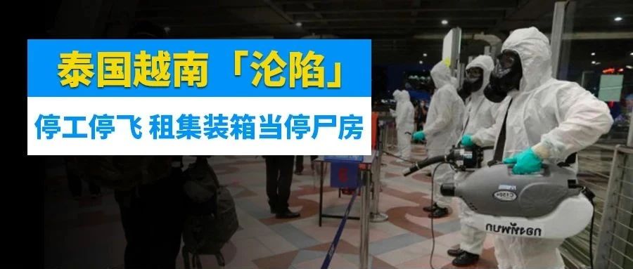 出货预警！泰国、越南“沦陷”！封厂停工、航班停飞，租集装箱当停尸房...