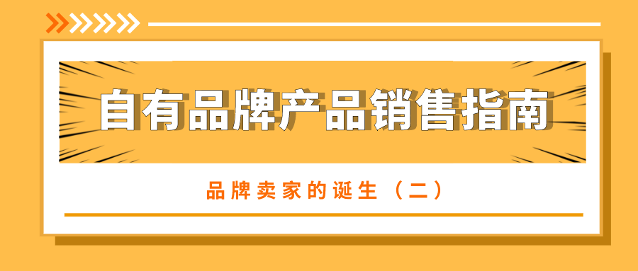 品牌卖家的诞生（二）——自有品牌产品销售指南（上）