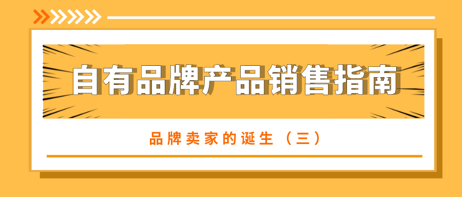 品牌卖家的诞生（三）——自有品牌产品销售指南（下）