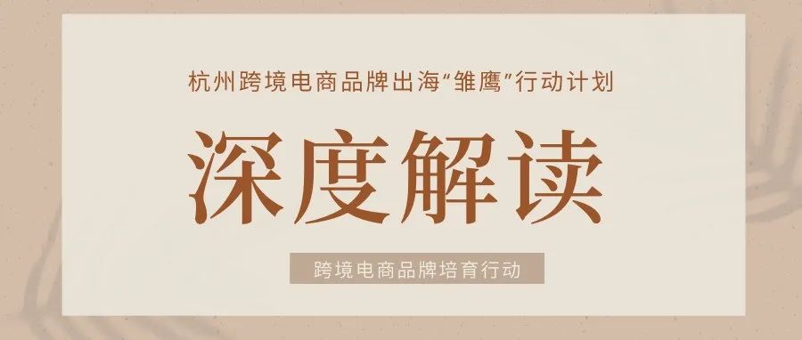 深度解读Ⅰ跨境电商品牌运营模式创新:渠道多元化、营销多样化、服务本地化、管理精细化