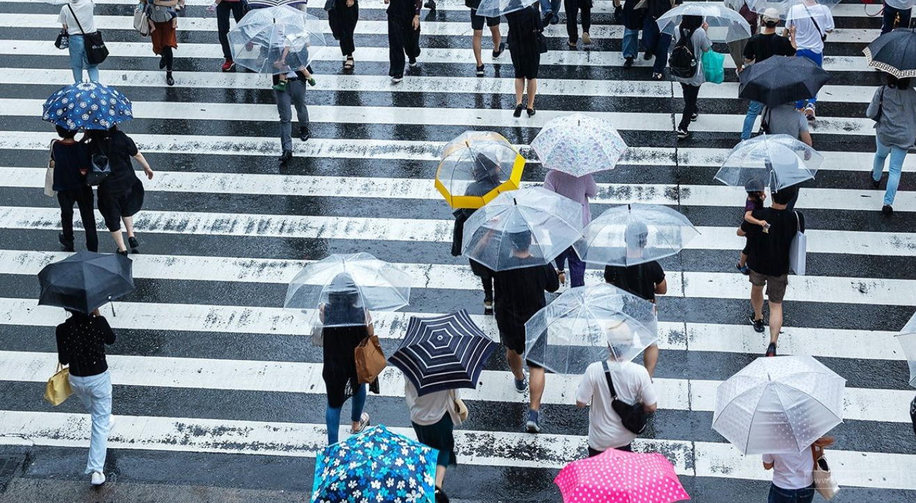 透明塑料伞在日本很受欢迎！女性伞具支出高于男性！