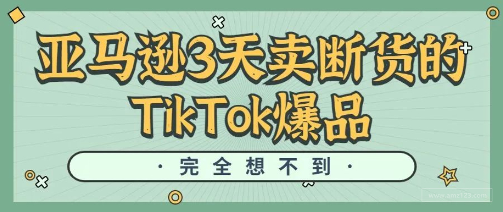 亚马逊3天内卖断货！爆2000万播放的TikTok爆款“碎肉机”彻底火了 | 嘀嗒狗