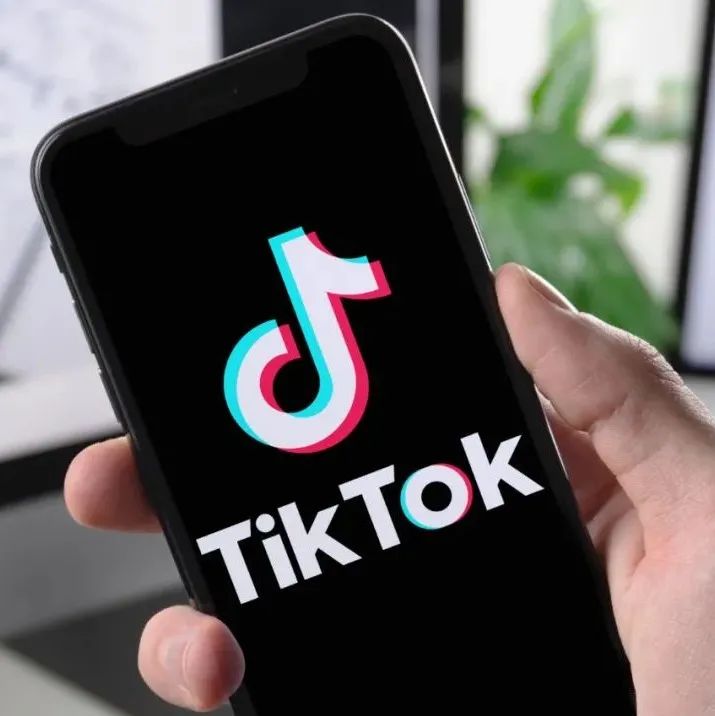 TikTok加速团结各大独立站，跨境电商的又一次红利期？