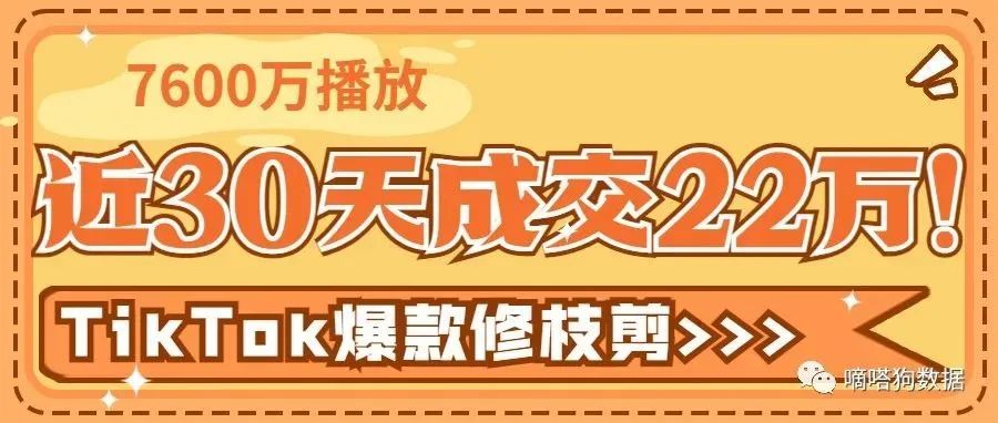 近30天成交22万，爆7600万播放！工具类产品在TikTok又火了？ | 嘀嗒狗