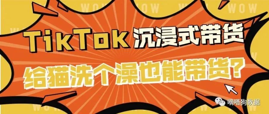 给猫洗个澡也能带货！TikTok沉浸式带货还能这么玩儿？ | 嘀嗒狗