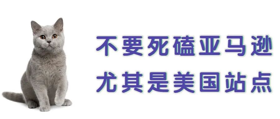 不要死磕美国站，把关注点转向日本站和欧洲站，特别是属虎的