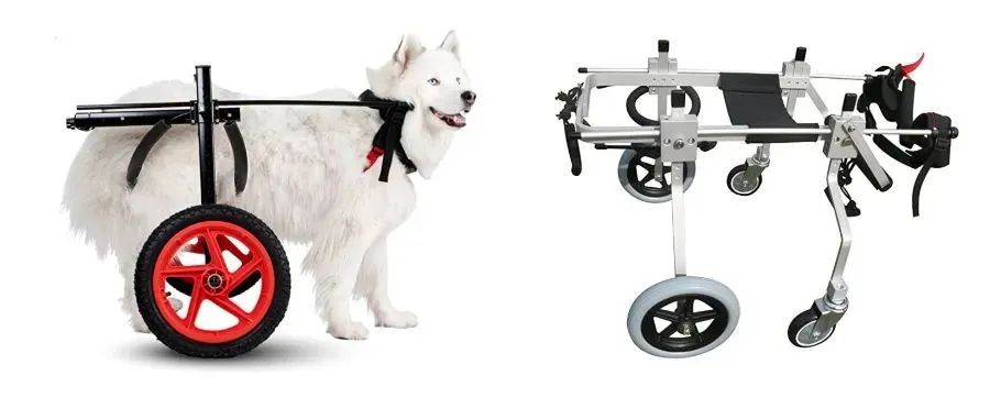 号召“狗狗轮椅 DOG WHEELCHAIR”125名被告应诉，请勿盲目和解！