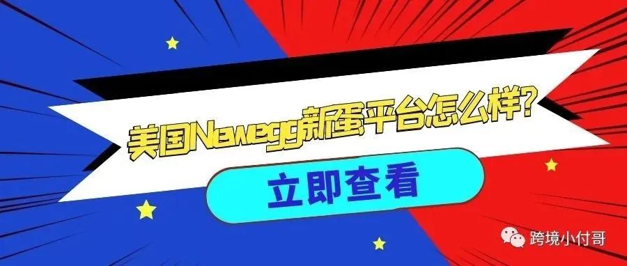 美国的新蛋平台（Newegg）可不可以做？