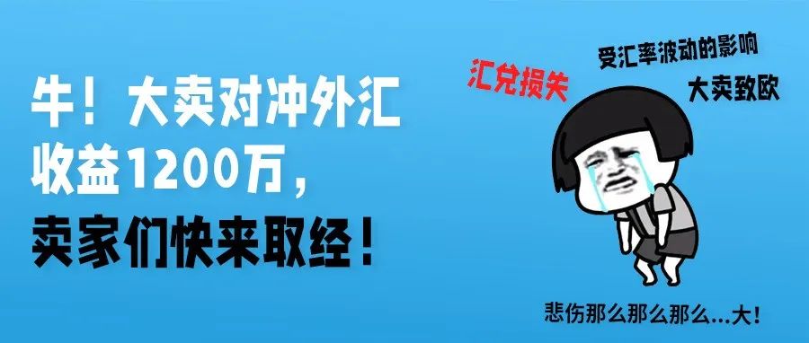 牛！大卖对冲外汇收益1200万，卖家们快来取经！