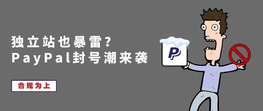 大量独立站卖家资金被冻，PayPal整治行动是怎么回事？