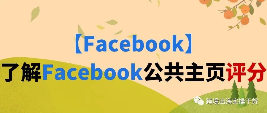 【Facebook】了解Facebook公共主页评分