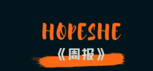 记录提交站点地图失败的过程 ——《Hopeshe周报第2期》