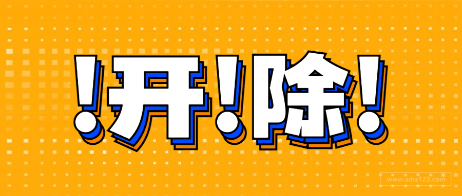 卖家因私开店铺被开除！运营都会走上单干路？