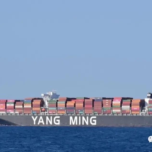 YANG MING 和 HMM 被一家美国美食生产商指控串通操纵运费