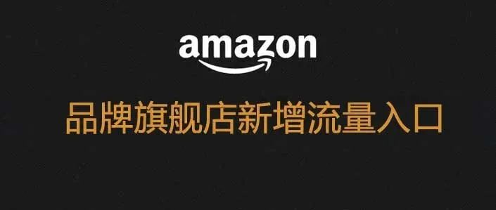 重视！亚马逊品牌旗舰店增加了大量流量入口！