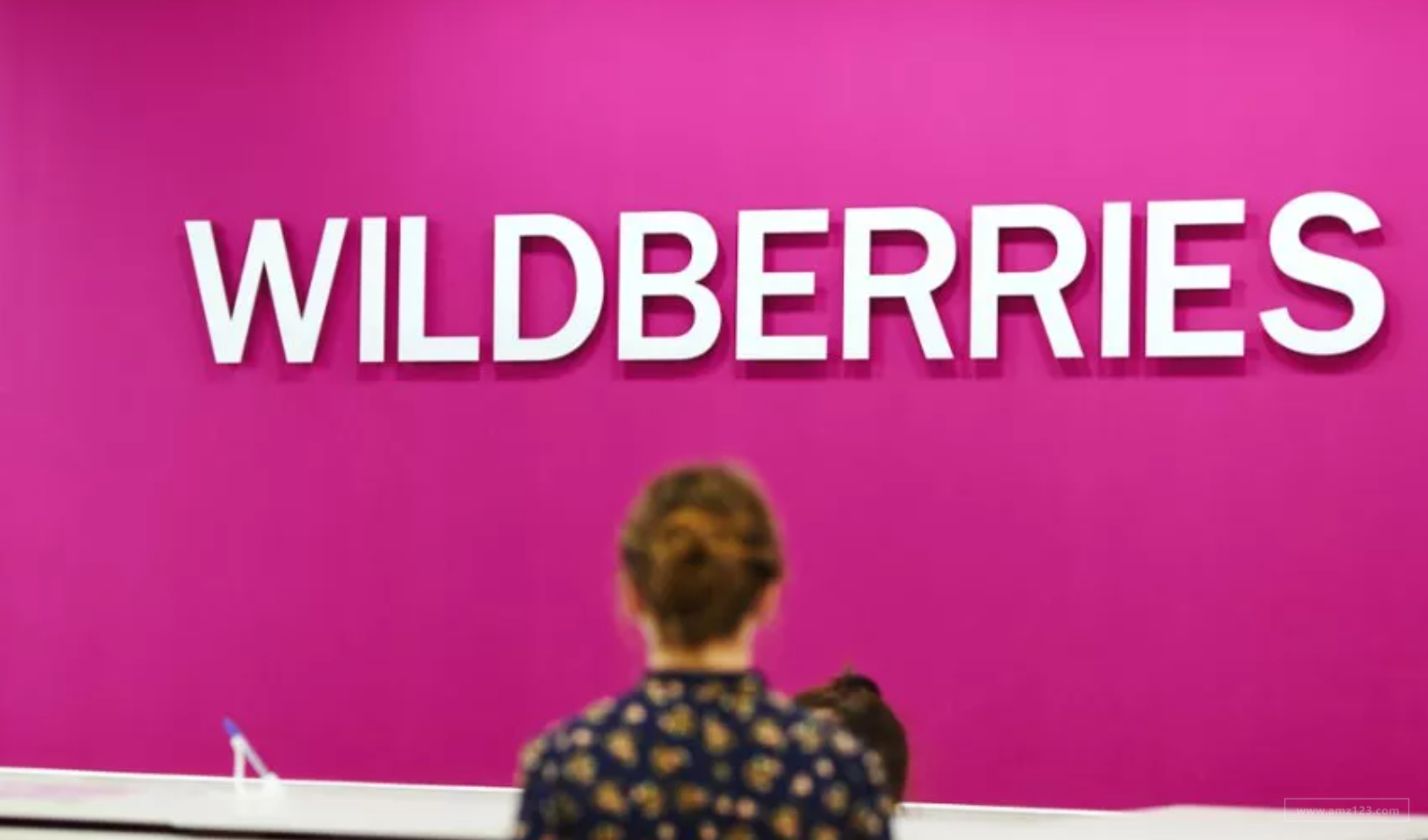 Wildberries公布2022上半年业绩创下历史新高！黑马品类是...